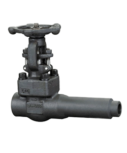 Forged steel extended valve body gate valve — PVPeW 2026