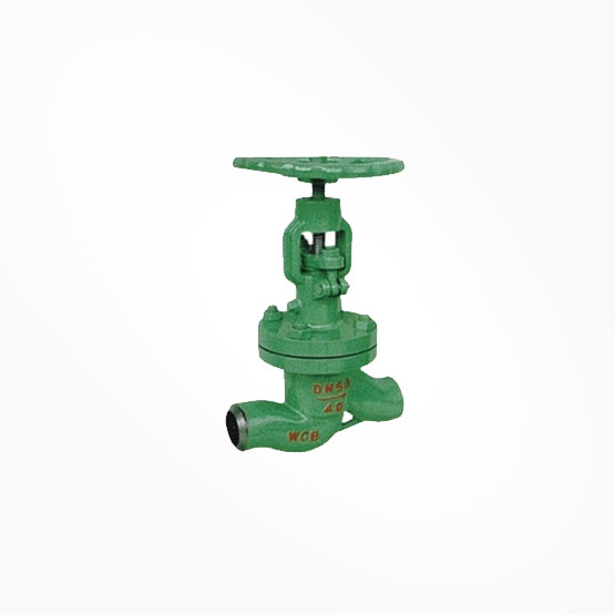 Vacuum Globe Valve — PVPeW 2026