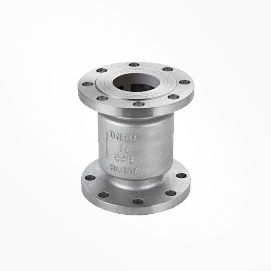 Vertical Flanged Check Valve — PVPeW 2026