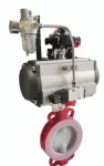 Fluorine-coated butterfly valve — PVPeW 2026