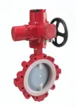 Fluorine-coated convex ear butterfly valve — PVPeW 2026