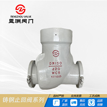 Power Station Check Valve — PVPeW 2026