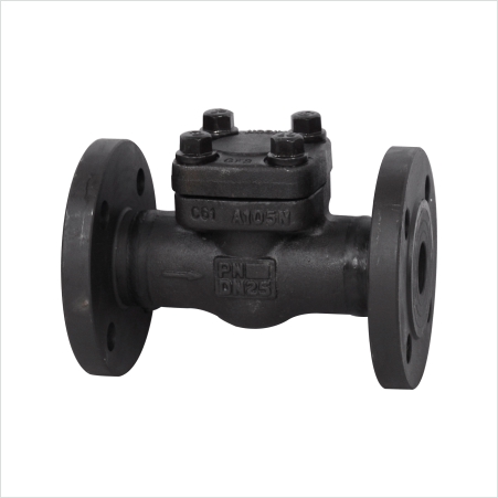Forged steel check valve — PVPeW 2026