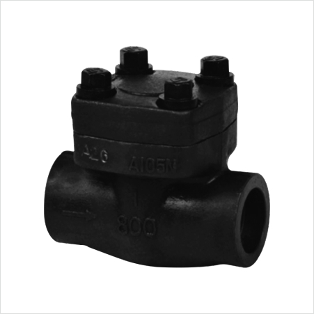 Internal thread and socket weld check valve — PVPeW 2026
