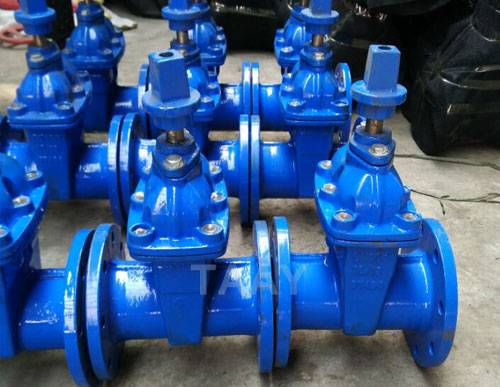 Buried Resilient Seated Gate Valve — PVPeW 2026