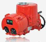ITQ0800IT — PVPeW 2026