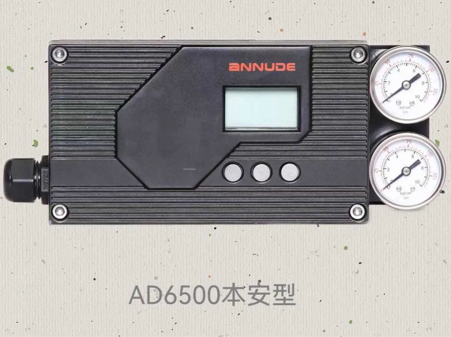 Product 10963 — PVPeW 2026