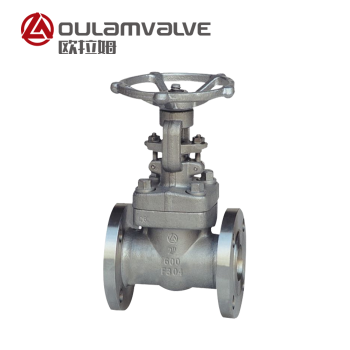 Z41W Flanged Stainless Steel Gate Valve for Hydrogenation Reactor — PVPeW 2026