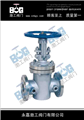 Insulated Gate Valve — PVPeW 2026