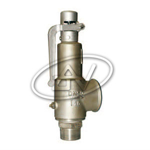 Spring-loaded lift-type safety valve — PVPeW 2026