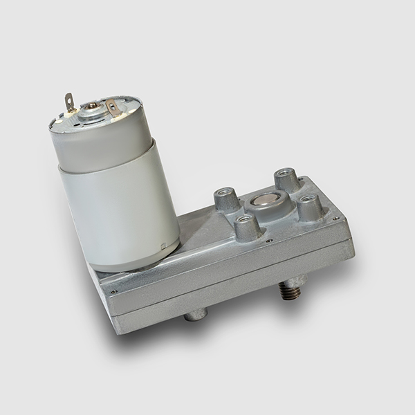DC Gear Motor — PVPeW 2026