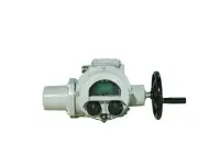 DPM Quarter-Turn Electric Actuator Series — PVPeW 2026