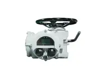 DPM-R Multi-turn Electric Actuator Series — PVPeW 2026