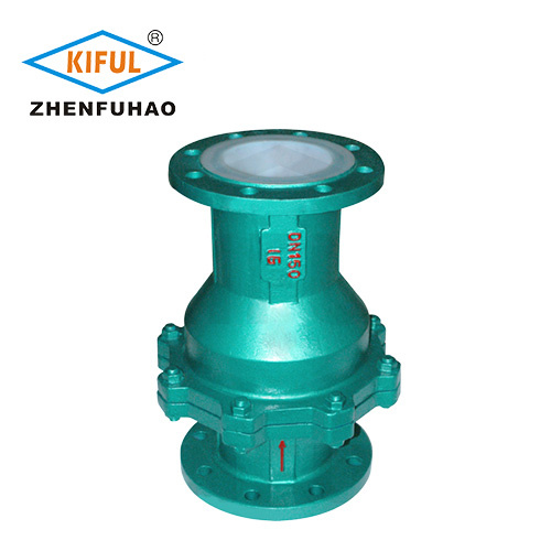 Fluorine-coated vertical check valve — PVPeW 2026