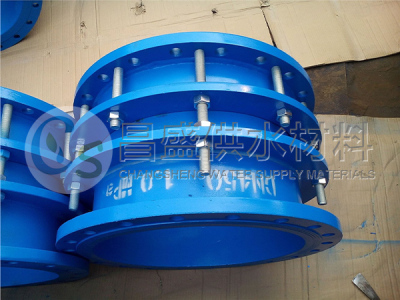 Steel expansion joint — PVPeW 2026