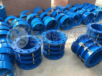 Piping expansion joint — PVPeW 2026