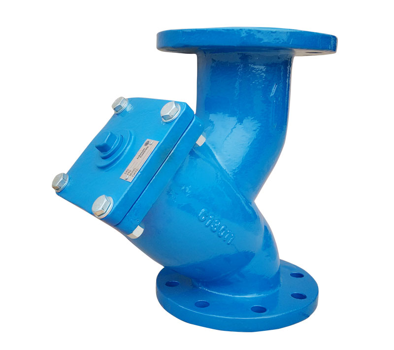 Y-type Strainer — PVPeW 2026
