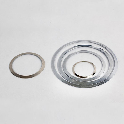 disc spring — PVPeW 2026