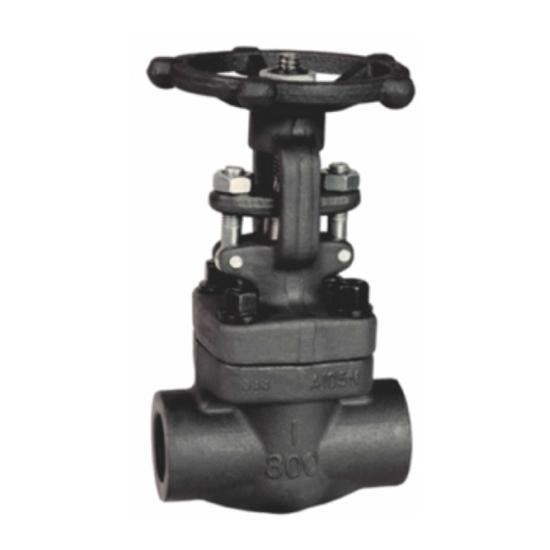 Forged Steel Gate Valve — PVPeW 2026
