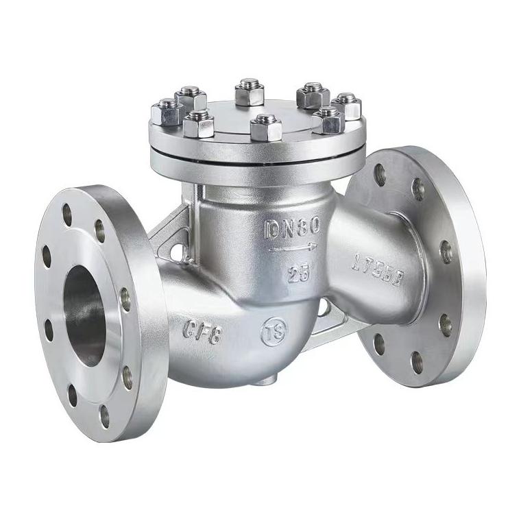 Stainless Steel H41 Check Valve — PVPeW 2026