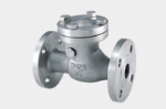 GB Check Valve — PVPeW 2026