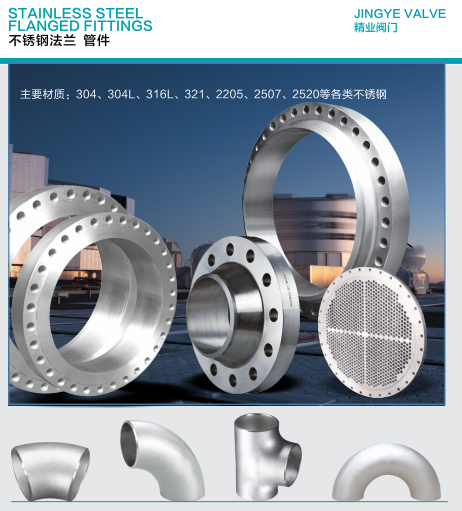 Stainless Steel Flanged Pipe Fittings — PVPeW 2026