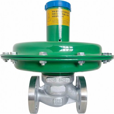 Model ZZVP Nitrogen Vent Valve (Pressure Relief Valve) — PVPeW 2026
