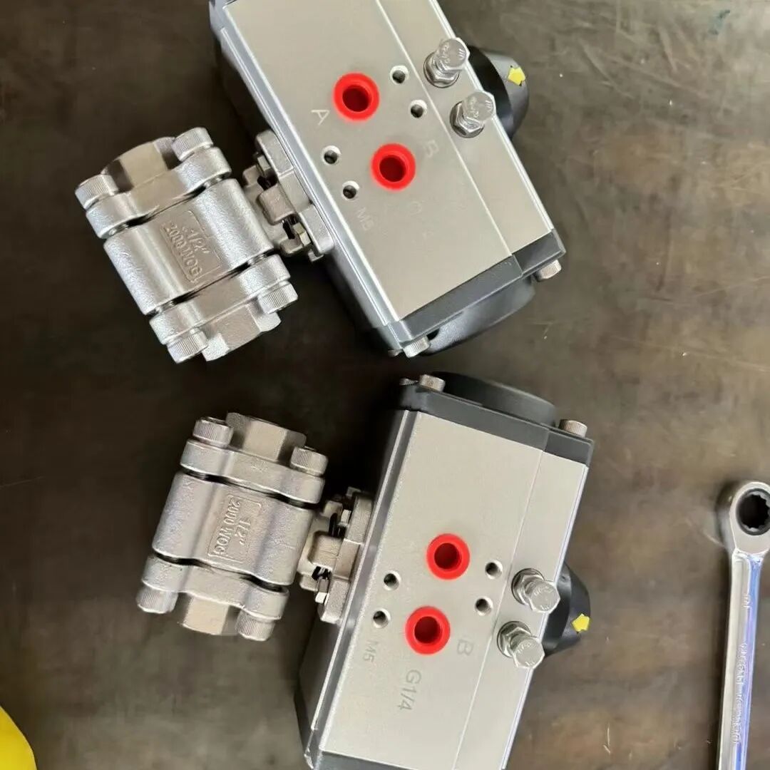 Product 11480 — PVPeW 2026