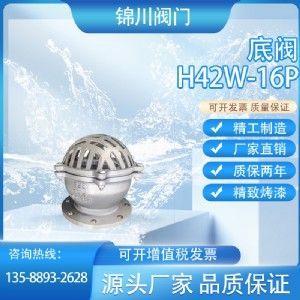 Model H42W Foot Valve — PVPeW 2026