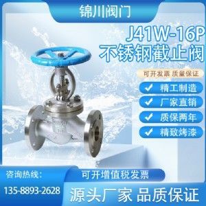 Model J41W Globe Valve — PVPeW 2026