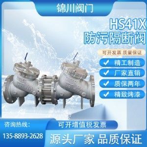 Model HS41X Anti-pollution Isolator Valve — PVPeW 2026