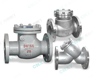 Check Valve / Strainer — PVPeW 2026