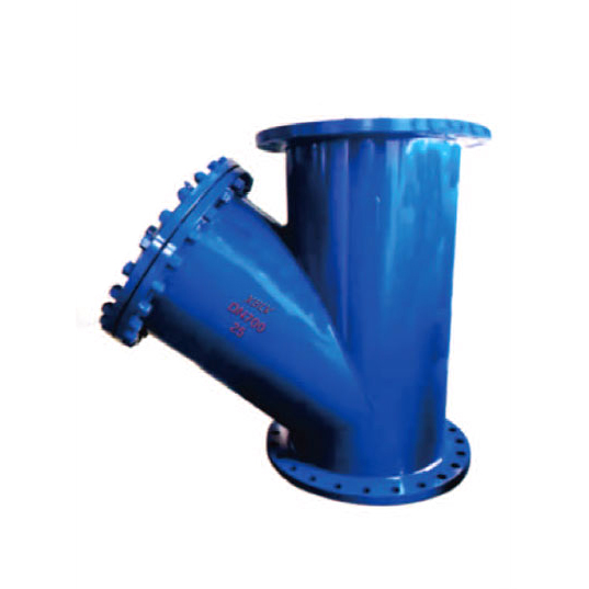 Large Caliber Y-Type Strainer — PVPeW 2026