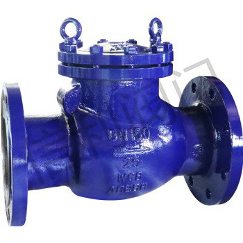 Swing Check Valve — PVPeW 2026