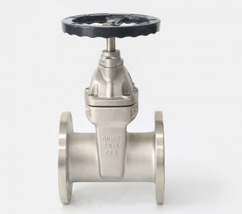 gate valve — PVPeW 2026