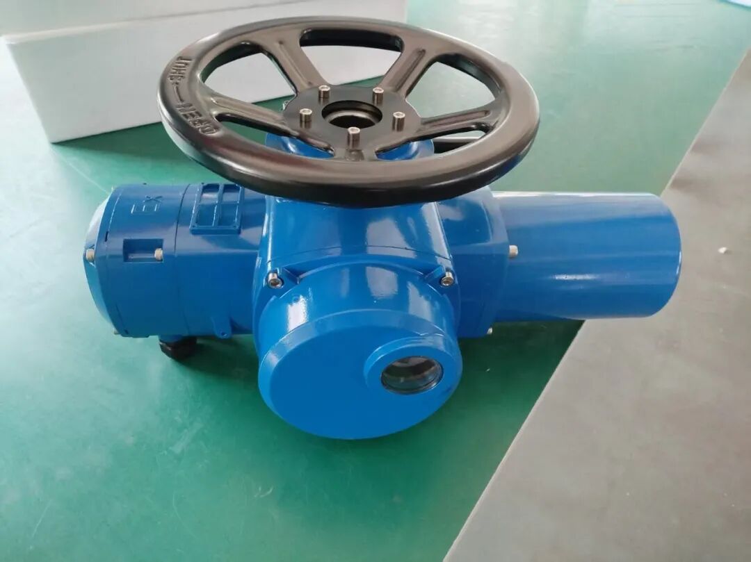 Product 11600 — PVPeW 2026