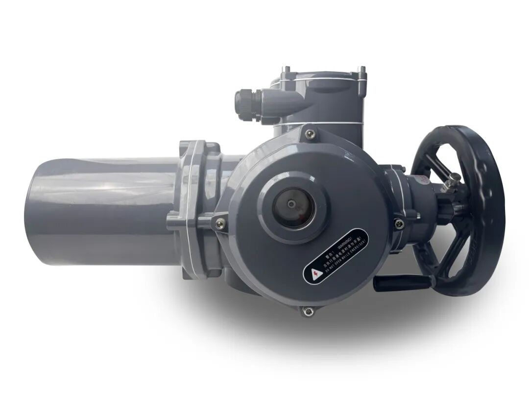 Product 11604 — PVPeW 2026