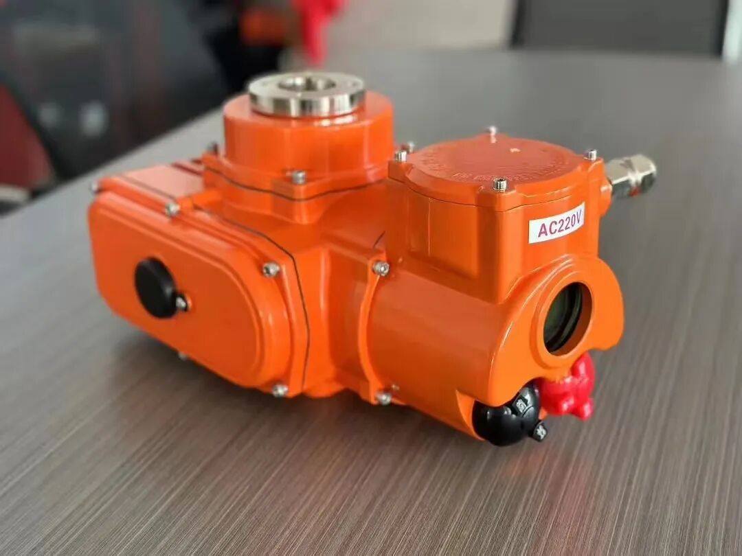 Product 11603 — PVPeW 2026