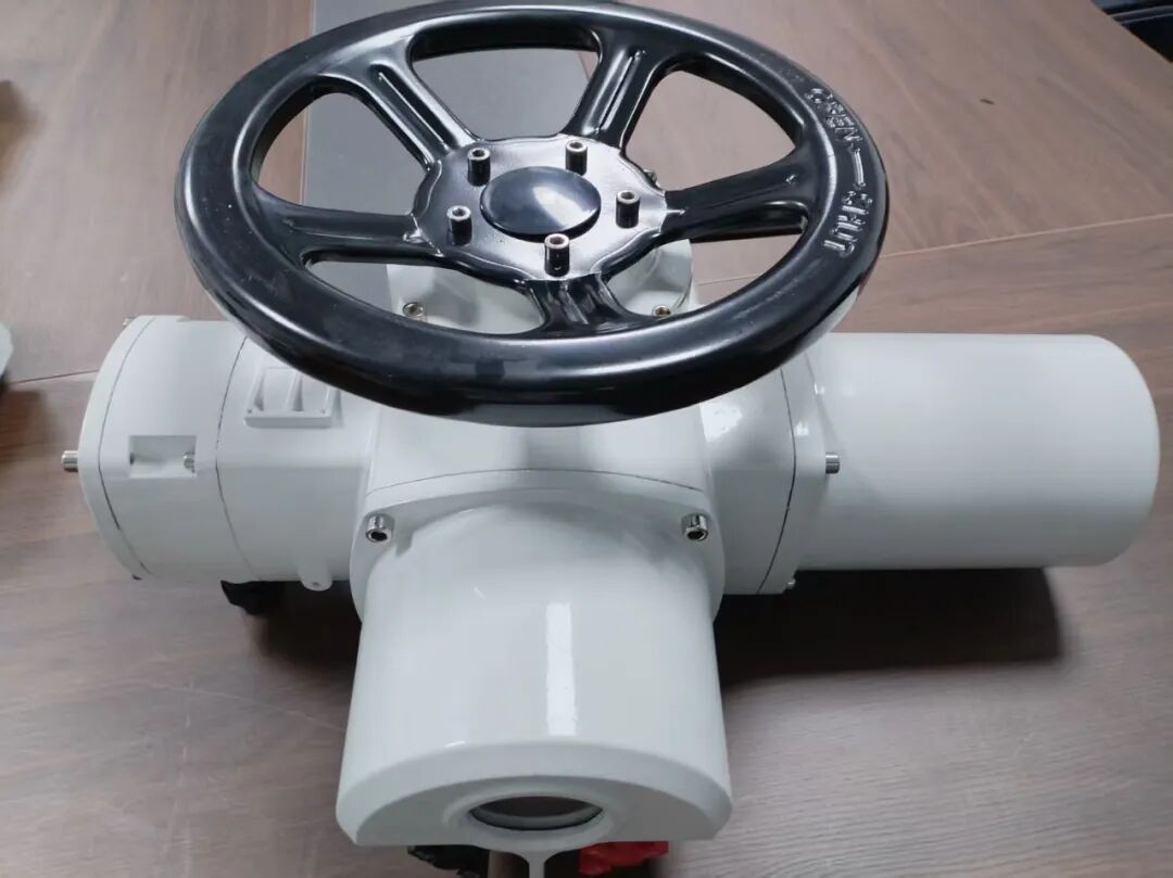 Product 11601 — PVPeW 2026