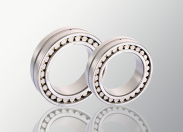 Precision cylindrical roller bearing — PVPeW 2026
