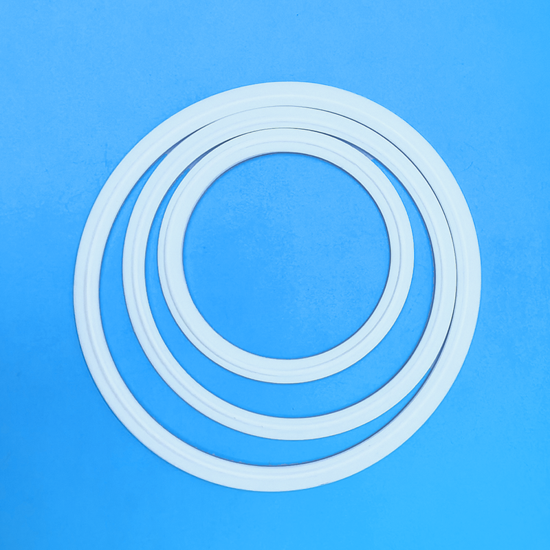 Sealing Ring Series — PVPeW 2026