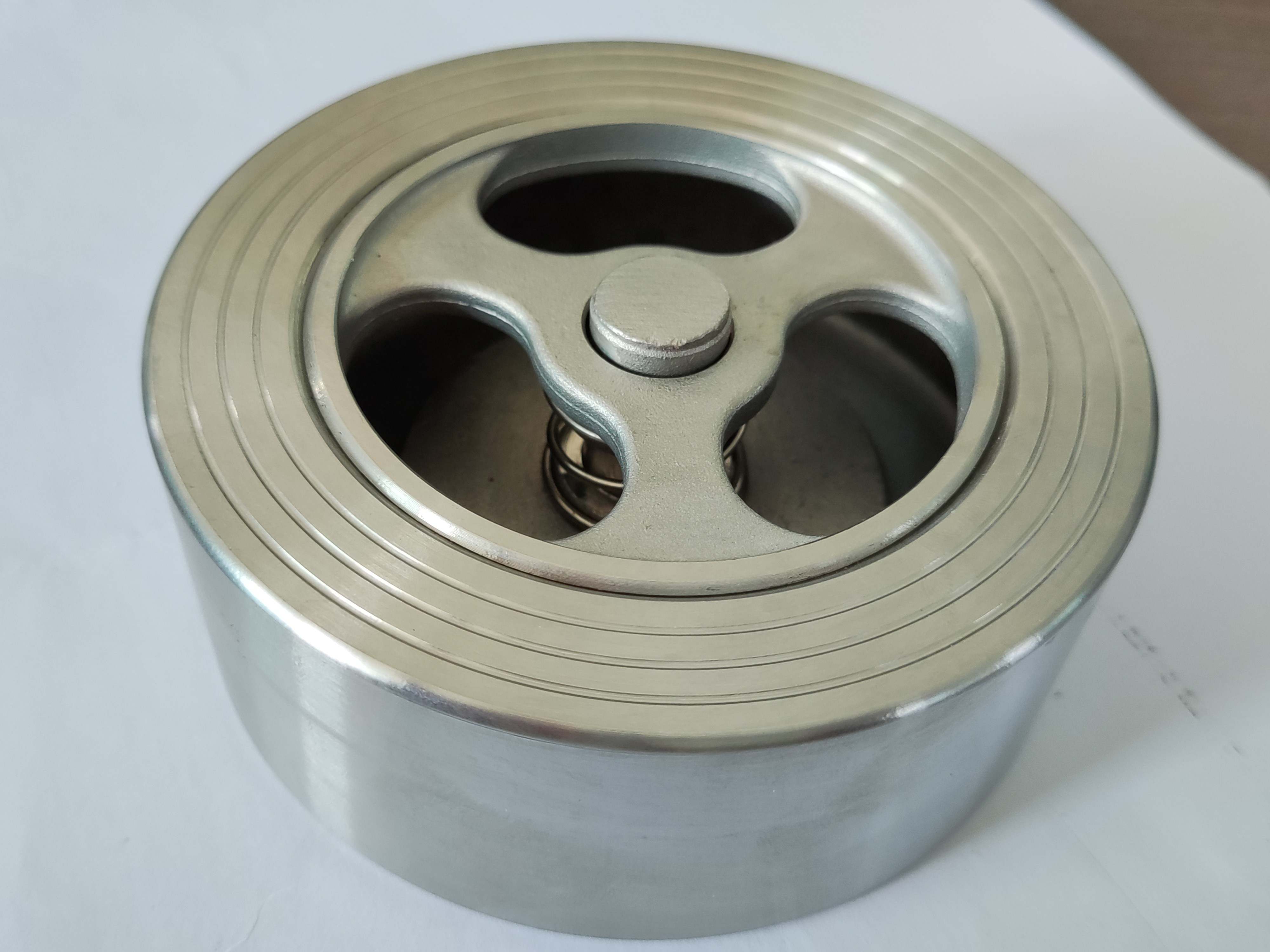 reverse current valve — PVPeW 2026