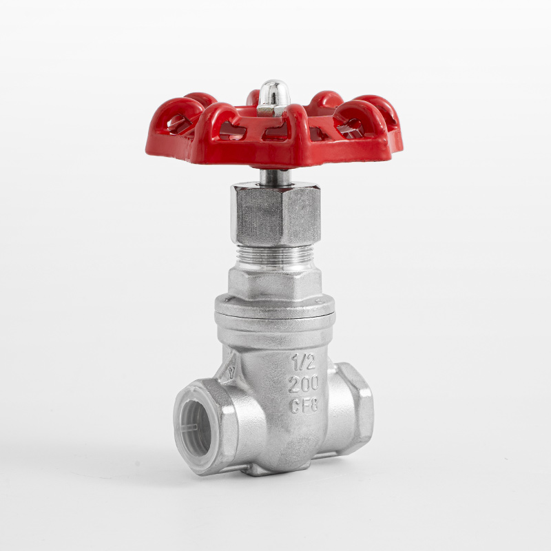 gate valve — PVPeW 2026