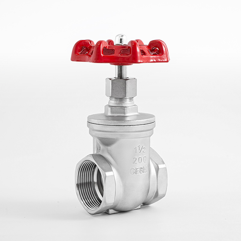 gate valve — PVPeW 2026