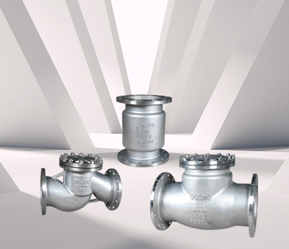 Check Valve Series — PVPeW 2026