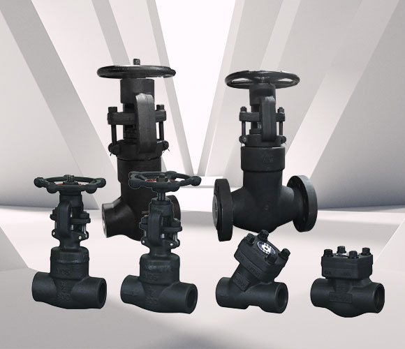 Forged steel valve series — PVPeW 2026