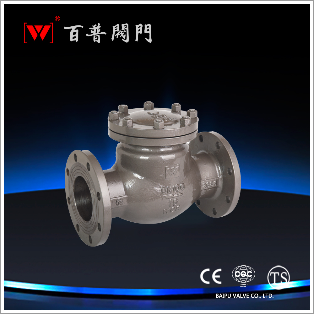 Cast steel check valve — PVPeW 2026