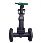 Wavy tube forged steel gate valve — PVPeW 2026
