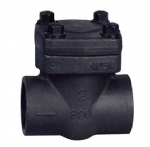 Forged steel check valve — PVPeW 2026
