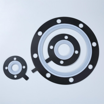 Teflon composite rubber — PVPeW 2026